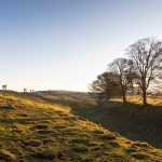 walking in wiltshire