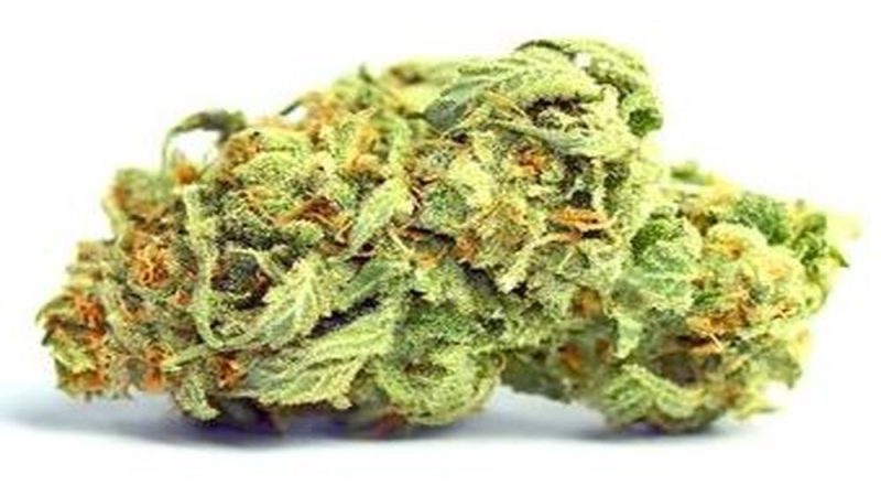 Your Go-to Guide for Safe and Legal Weed Delivery in Citrus Heights