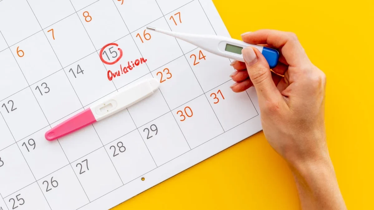 How to track ovulation in menstrual cycle? and hormones responsible for it.